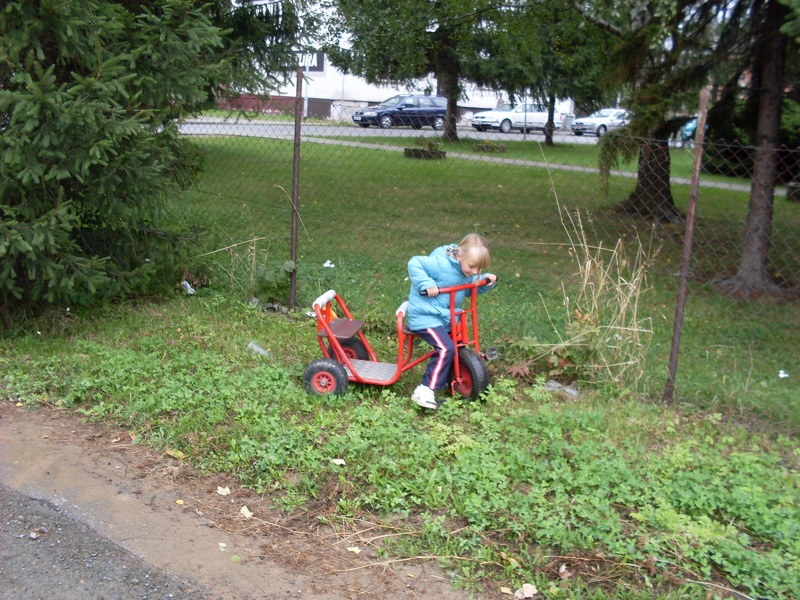 sdc10293.jpg