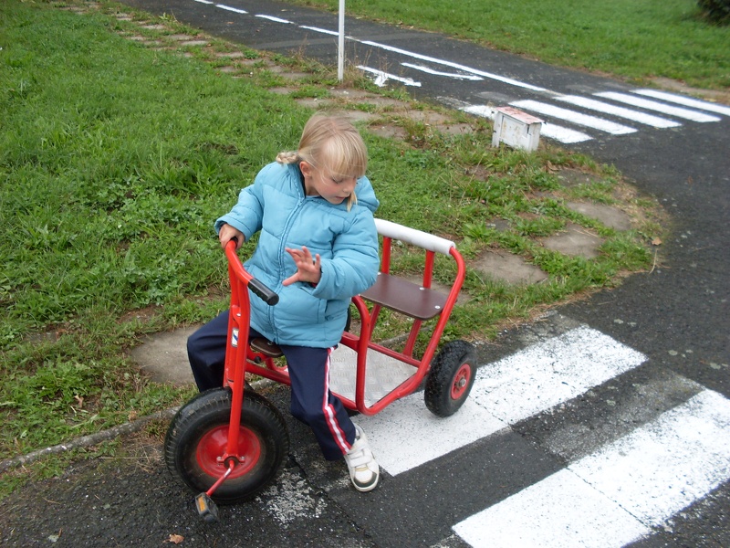 sdc10295.jpg