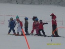 SDC12494